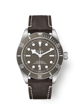 TUDOR BLACK BAY 58 925 M79010SG-0001